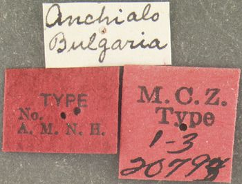 Media type: image;   Entomology 20793 Aspect: labels